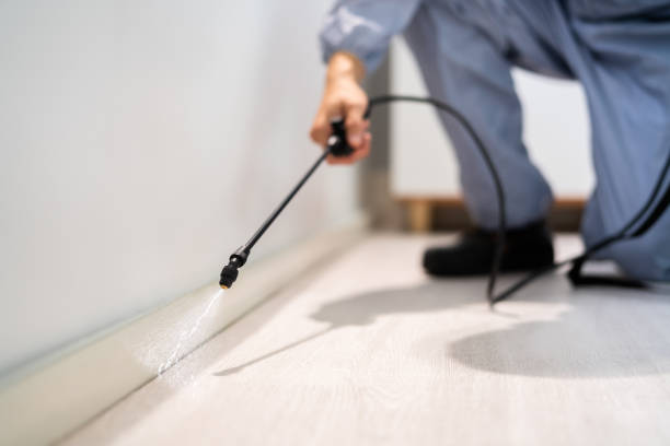 Licensed Fumigation Services service in Kenova, WV - Nex Pest Control
