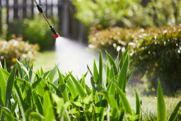 24/7 Emergency Fumigation Services experts in Kenova, WV