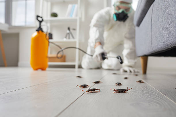 Trusted Cockroach Control service in Kenova, WV - Nex Pest Control