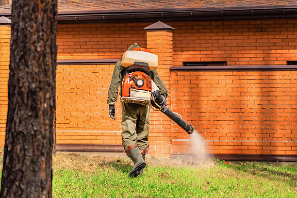 Trusted Ant Control service in Kenova, WV - Nex Pest Control
